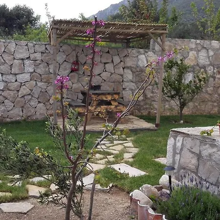 Homestay Beyaz Ev *