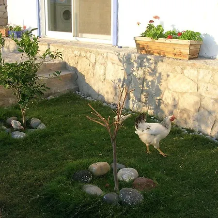 Beyaz Ev
