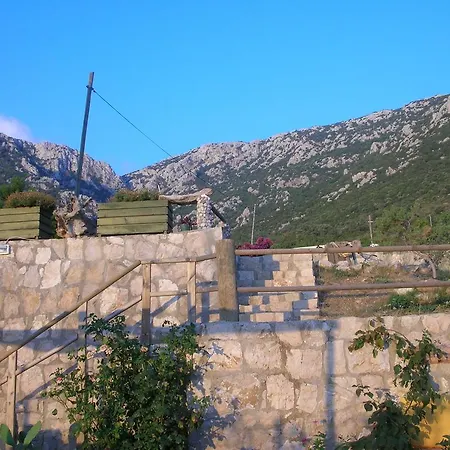 Beyaz Ev Homestay
