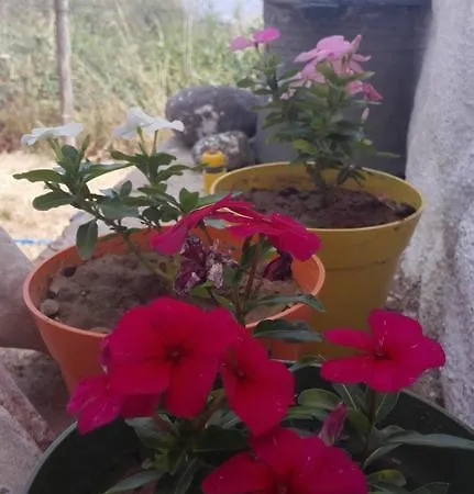 Homestay Beyaz Ev
