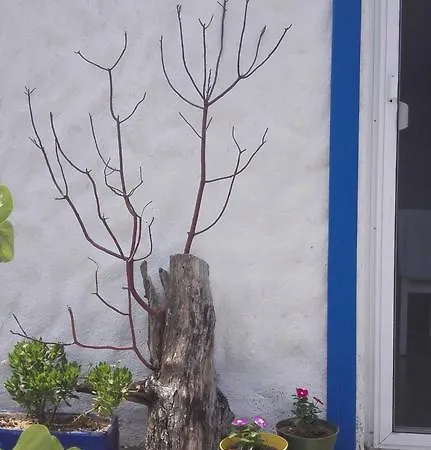 Homestay Beyaz Ev Karaburun (Izmir)